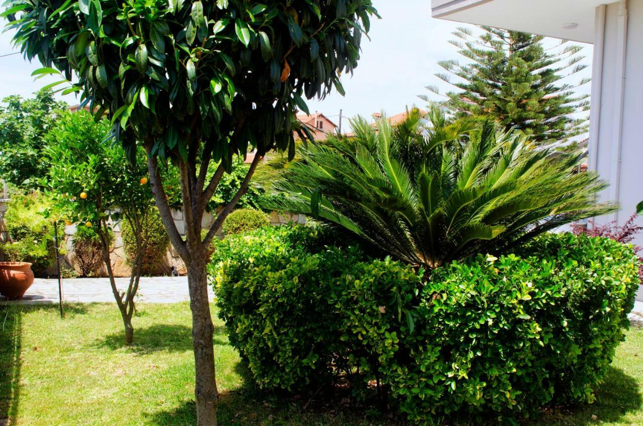 Amalias Place
