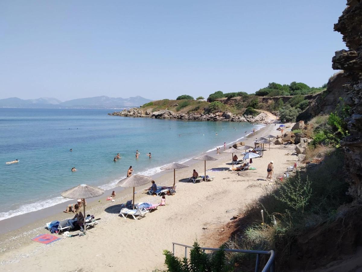 Amalias Place