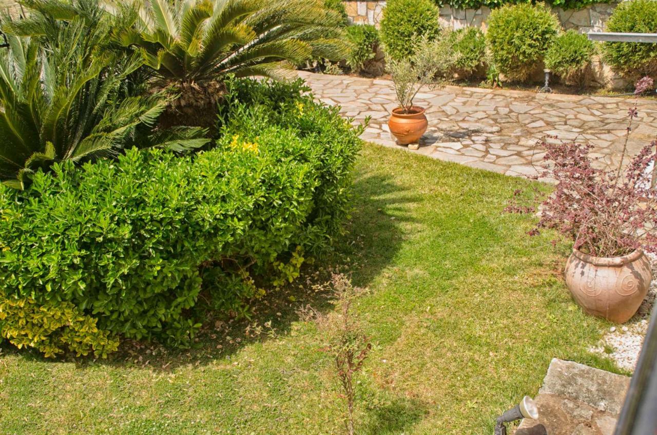 Amalias Place Appartement